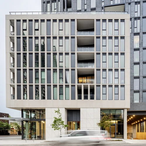 Uovo Image