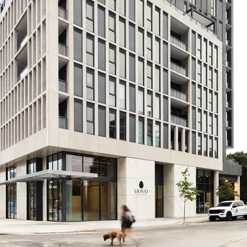 Uovo Image
